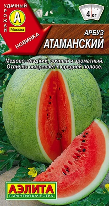 Арбуз Атаманский (1г) - семена Аэлита