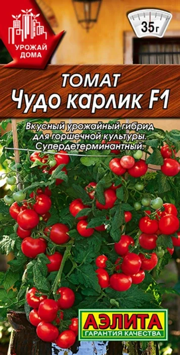 Томат Чудо Карлик F1 (10 семян) - семена Аэлита