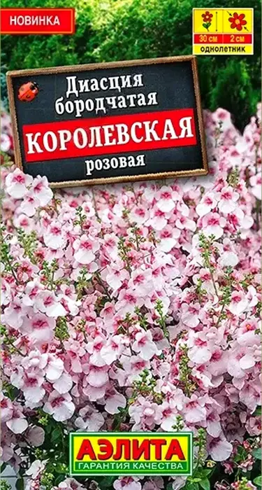 Диасция Королевская Розовая (20 семян) - семена Аэлита