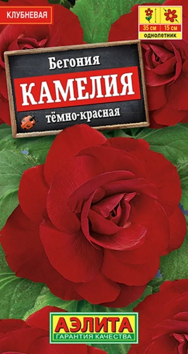 Бегония Камелия Темно-Красная (10 семян) - семена Аэлита