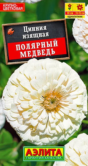 Цинния Полярный Медведь (0,3г) - семена Аэлита