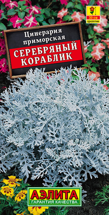 Цинерария Серебряный Кораблик (0,05г) - семена Аэлита
