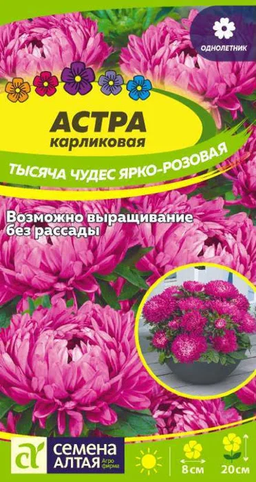 Астра Тысяча Чудес Ярко-Розовая Карликовая (0,15г) - Семена Алтая