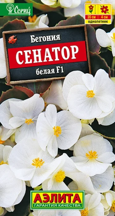 Бегония вечноцветущая Сенатор Белая F1 (10 семян) - семена Аэлита