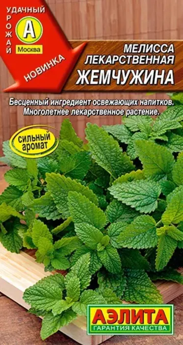 Мелисса лекарственная Жемчужина (0,1г) - семена Аэлита