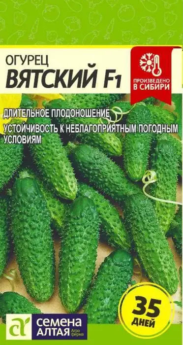 Огурец Вятский F1 (6шт) - Семена Алтая