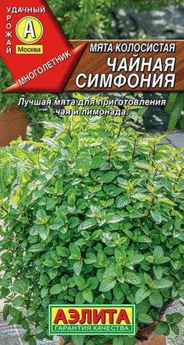 Мята колосистая Чайная Симфония (0,05г) - семена Аэлита
