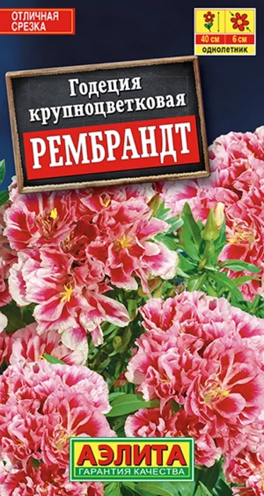 Годеция Рембрандт (0,05г) - семена Аэлита