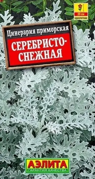 Цинерария Серебристо-Снежная (0,05г) - семена Аэлита