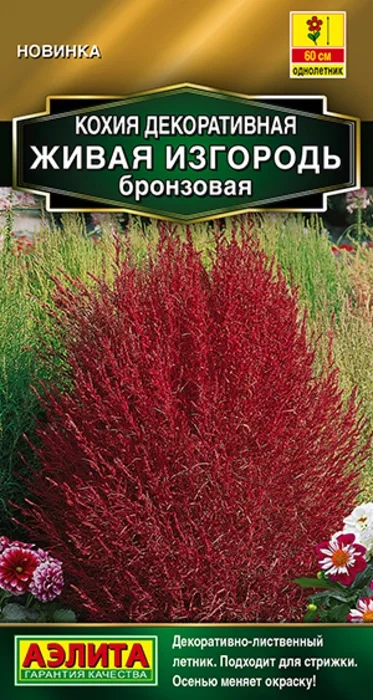Кохия Живая Изгородь Бронзовая (0,1г) - семена Аэлита
