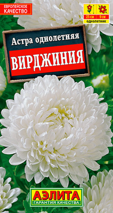 Астра Вирджиния (0,2г) - семена Аэлита