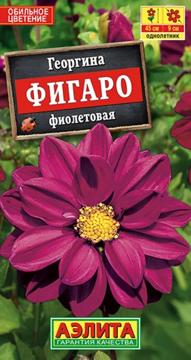 Георгина Фигаро Фиолетовая (7 семян) - семена Аэлита