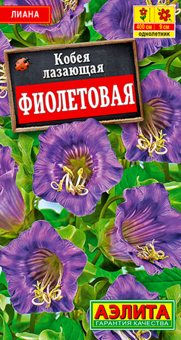 Кобея Фиолетовая (0,45г) - семена Аэлита