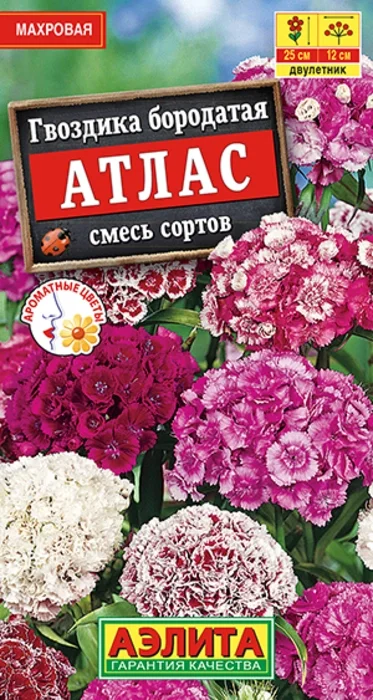 Гвоздика Атлас Турецкая, смесь (0,1г) - семена Аэлита