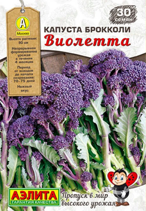 Капуста брокколи Виолетта (30шт) - семена Аэлита