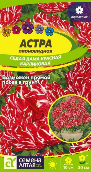 Астра Седая Дама Красная Карликовая (0,1г) - Семена Алтая