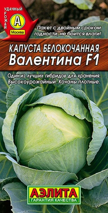 Капуста белокочанная Валентина F1 (20 семян) - семена Аэлита
