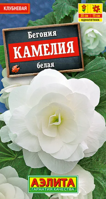 Бегония Камелия Белая (10 семян) - семена Аэлита