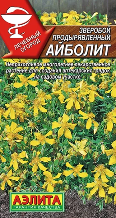 Зверобой Айболит (0,1г) - семена Аэлита
