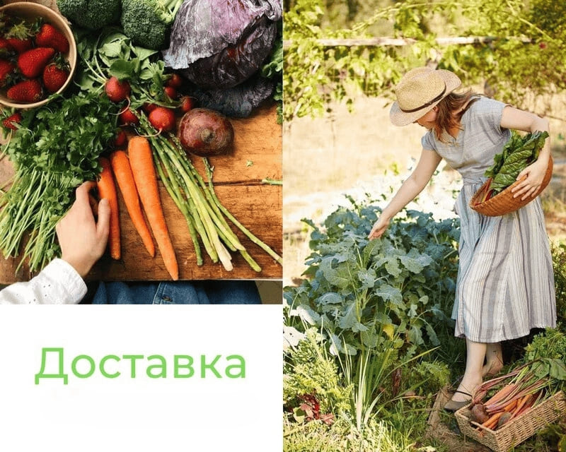 доставка.jpg доставка.jpg